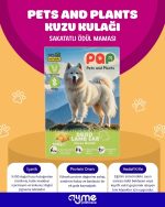 PAP KUZU KULAK SAKAT ET 100 G - Görsel 3