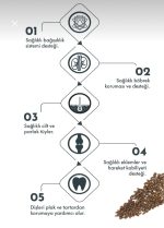 PRO PERF. ADULT MİNİ LAMB&BLUBERRY 7 KG - Görsel 2