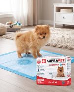 SUPRAVET ALIŞTIRMA PEDİ 30 'LU 60*90