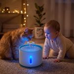 Pets and Plants 2.4 Litre Plastik Su Sebili