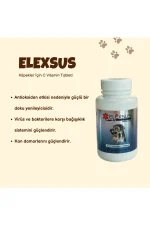 Köpek C Vitamini Tableti 50 gr Vitamin Desteği
