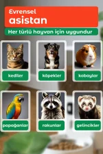 3 L Otomatik Mama Kabı - Görsel 9